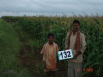68560132a-irrigated-supplemental-groundwater-maize-dominant-sugarcane-horsegram-sorghum.jpg