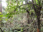 50202DSC02001.JPG