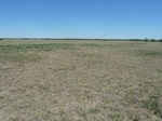 29185P1070325.JPG