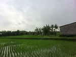 30689CIMG0505.JPG