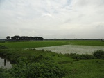 22075DSC00310.JPG