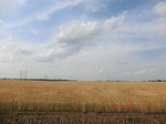 29470CIMG0768.JPG