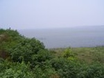 1067R0015358_small.jpg