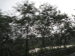 13392IMG_3755.JPG