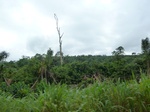 20214P1020069.JPG