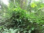 48001CIMG4338.JPG