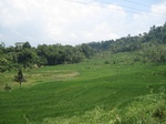 13800IMG_4063.JPG