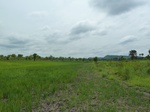 18459P1000295.JPG