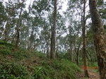 52803CIMG4682_调整大小.JPG