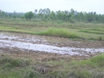 34563RIMG0029.JPG