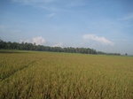 14170IMG_4507.JPG