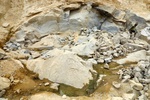 28638P1010655-1.JPG