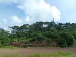 25157P1010996.JPG
