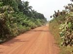 46936CIMG3273.JPG