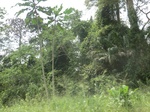 49502CIMG5839.JPG
