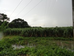 21949DSC00202.JPG