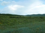 38172P1080098.JPG