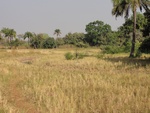 26650DSC00570.JPG