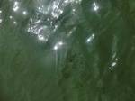 58333CIMG2782.JPG