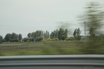 2024-08-05_16-08-52_5AAB29E9-D3D9-4DE3-8C72-49239AB0F519.jpeg