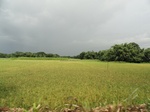 22131DSC00373.JPG