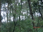 52815CIMG4723_调整大小.JPG