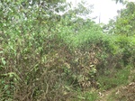 48741CIMG5078.JPG