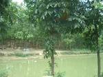 21759DSC08331.JPG