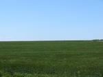 29008CIMG0707.JPG