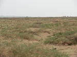 36756CIMG0525.JPG