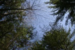 189IMG_4085.JPG