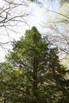 250IMG_4146.JPG