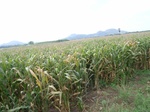 21409RIMG0021.JPG
