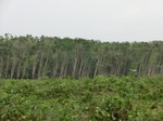 50539CIMG1168.JPG