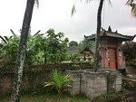 30701CIMG0517.JPG