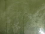 58251CIMG2698.JPG