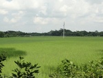 24563DSC00766.JPG