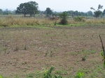 517423042008(22).JPG