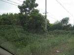 26716IMG_3517.JPG