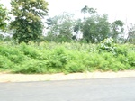 20694P1020551.JPG