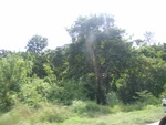 33594RIMG0259.JPG