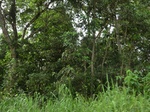 47491CIMG3828.JPG