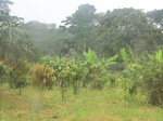 49939CIMG6276.JPG
