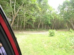 50583CIMG1212.JPG