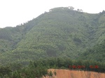 34751CIMG2579.JPG