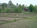 9188DSC03787.JPG