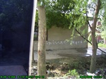 1230R0015064_tag.jpg