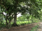 31999IMG_5556.JPG
