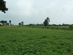 18698P1000536.JPG