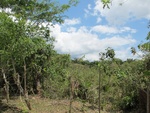 29546IMG_5147.JPG